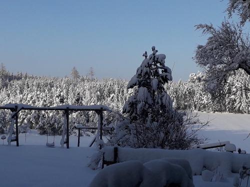 Winteraussicht