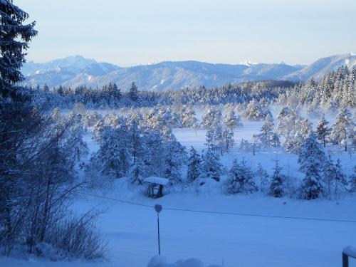 Winterausblick