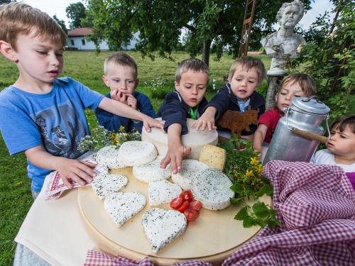Selbstgemachter Mozarella
