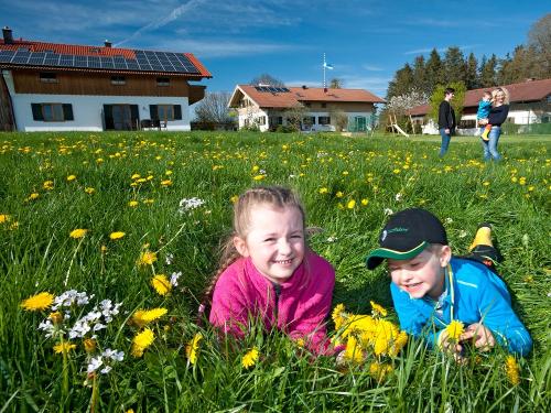 Wohnen in drei Häusern