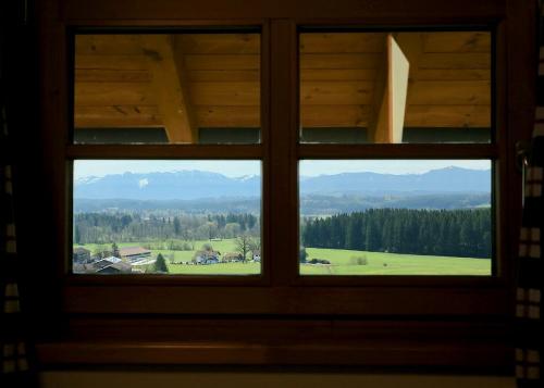 Vogelnest - Aussicht