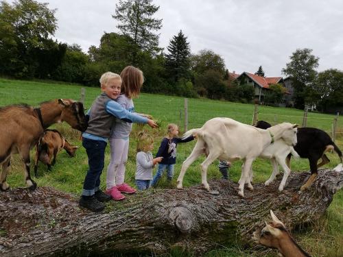 img-20190924-wa0004