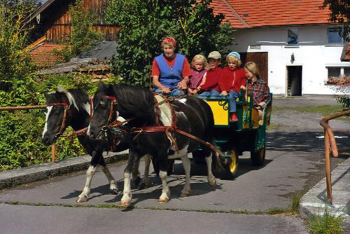 Kutschfahrten