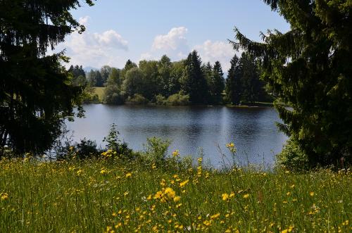 Lugenauer See