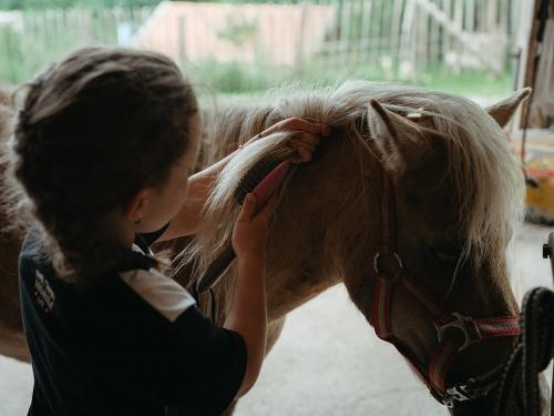 Bussjägerhof Pony Sissi