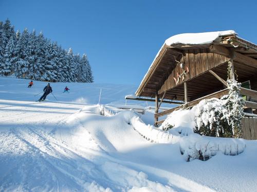 Bussjägerhof Hütte im Winter