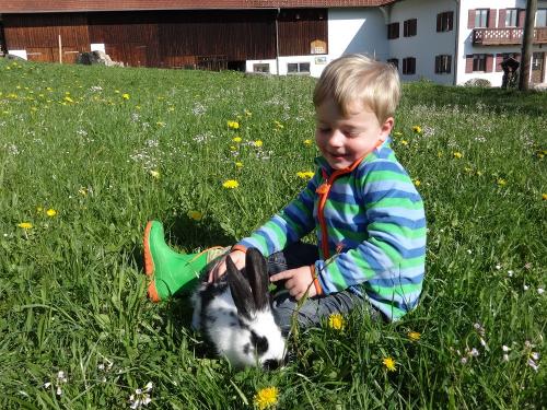 Kuscheln mit dem Häschen