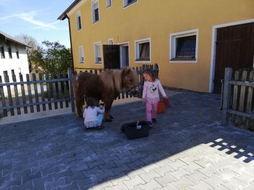 img_20210509_152753