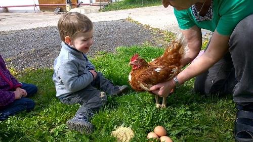 Huhn
