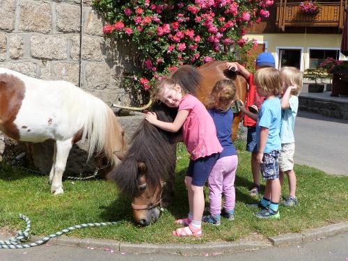 Ponys
