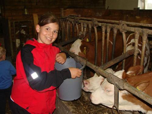 Kindern macht es riesigen Spaß bei der täglichen Stallarbeit dabei zu sein, die Tiere zu füttern und die Kälbchen zu tränke