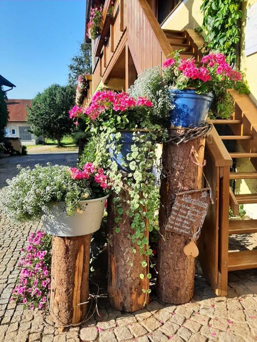 Unsere bunte Blumenvielfalt