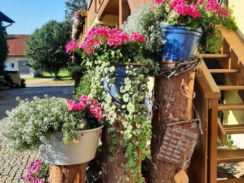 Unsere bunte Blumenvielfalt Unsere bunte Blumenvielfalt