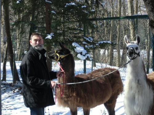 Lamawanderung Lamawanderung