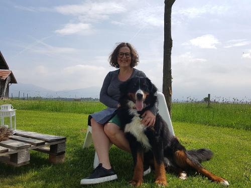 Hofhund
