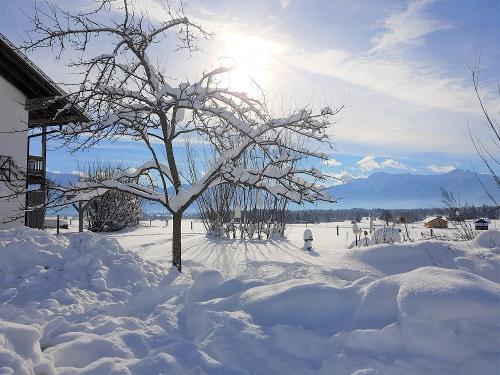 Winterbild