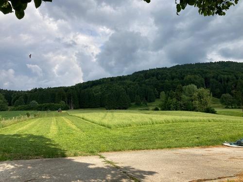 einfhren