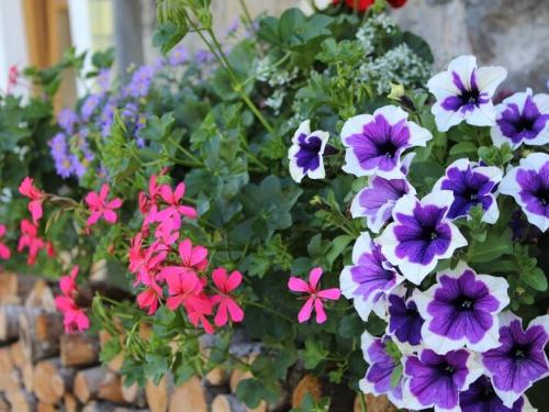 Blumen_Holzhaufen neu