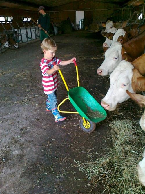 Stallarbeit :)