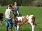 2009_0415_102929
