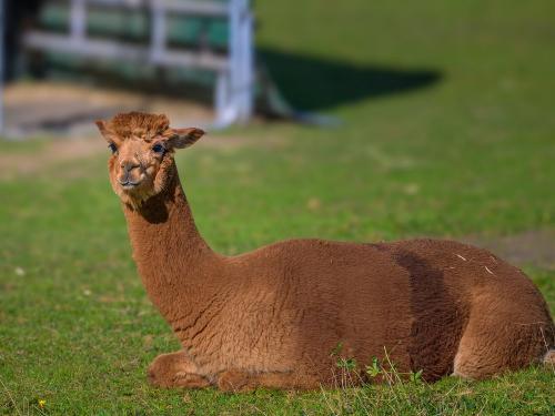 6 - 2_9_NV2_9980-Bearbeitet