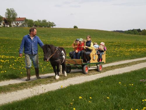 kutschfahrt mit Elliot
