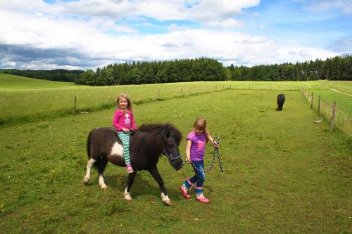 Kinder beim Ponyreiten