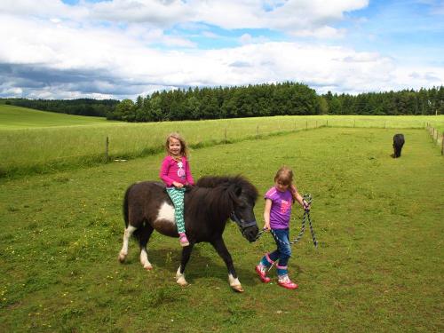 Kinder beim Ponyreiten