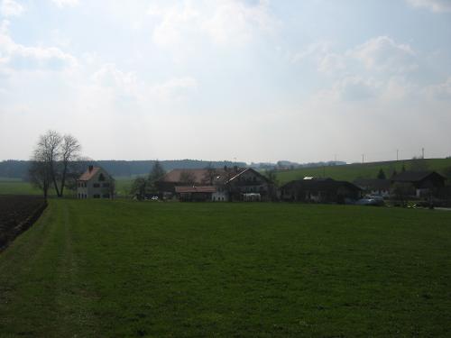 hof1