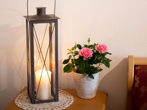 almrausch-fwzacherlhofnussdorfimg_2450 almrausch-fwzacherlhofnussdorfimg_2450