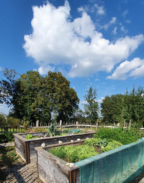 bauerngarten