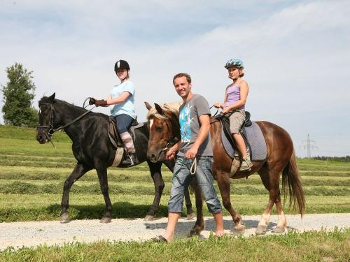 Reiten am Könighof