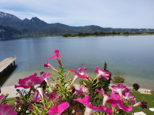 Kochelsee