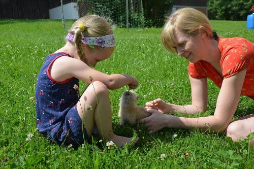 unsere Tiere