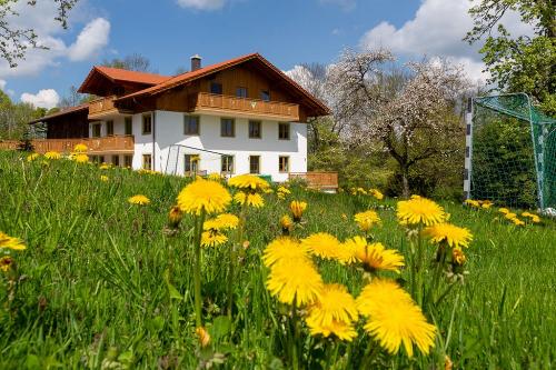 bild-169