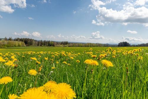 bild-142