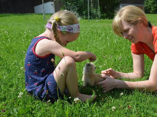 unsere Tiere