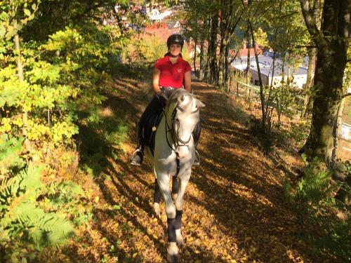 Ausreiten ins Gelände