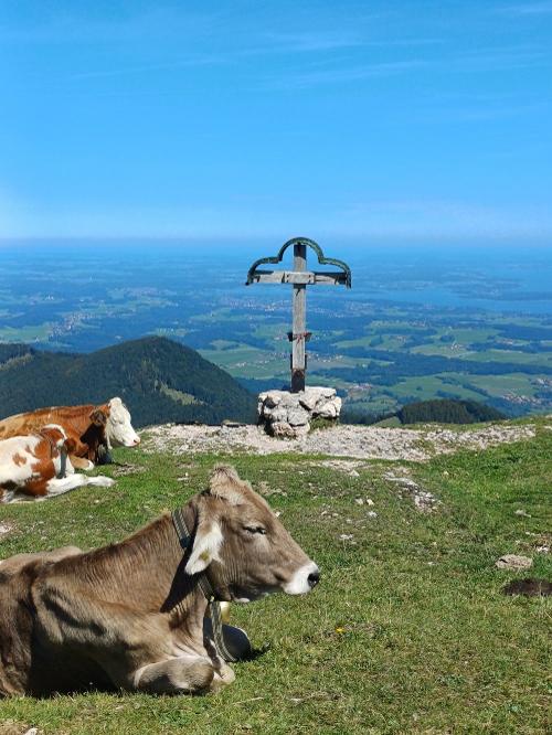 Blick vom Laubenstein zum Chiemsee