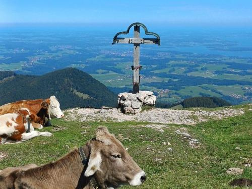Blick vom Laubenstein zum Chiemsee