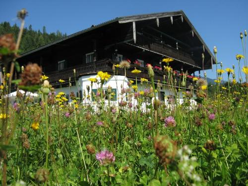 Sommer