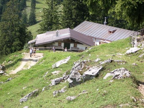 Almwanderungen