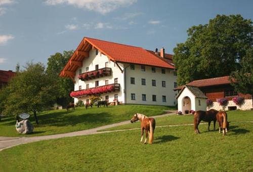 Langhof