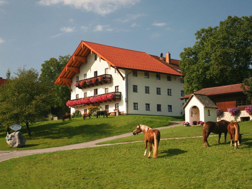 Riepertinger Hörzing-91-0909 Riepertinger Hörzing-91-0909