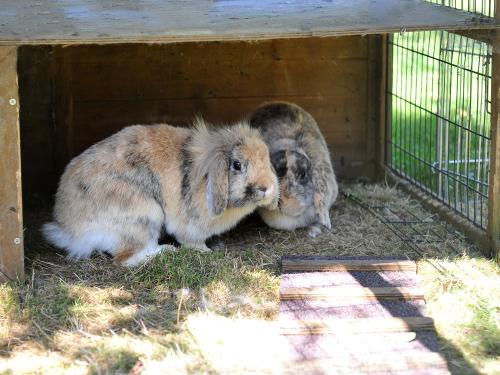 Frieda und Ida