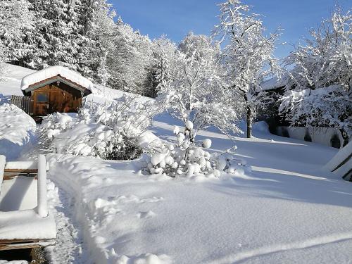 winterbild484019