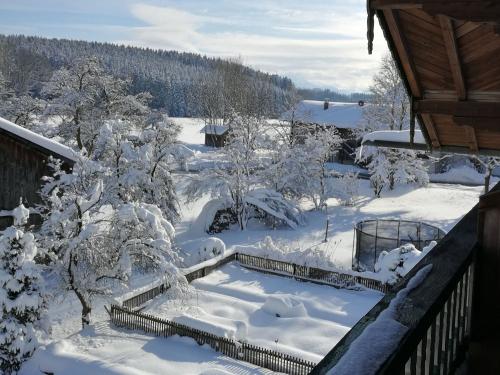 winterbild
