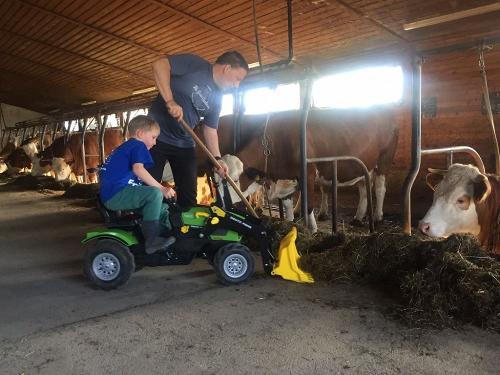 Kinder im Kuhstall