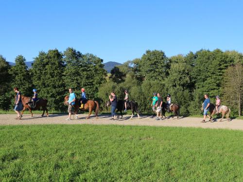 Kostenlose geführte Ponyausritte selbst unternehmen