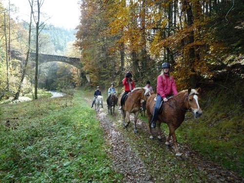 Ausritt am Bachwanderweg